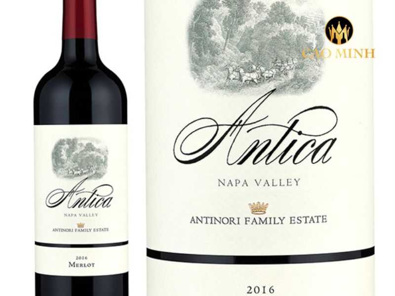 rượu vang Mỹ Antica Merlot