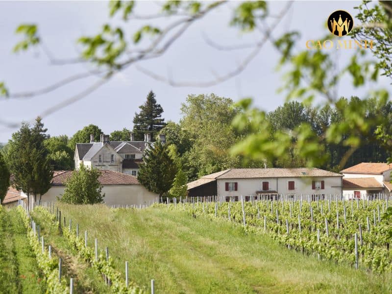 Rượu Vang Pháp Château Barateau Cru Bourgeois Haut-Médoc