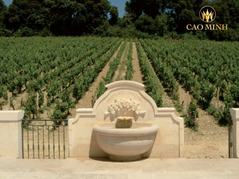 Rượu Vang Pháp Château L'Arrosee