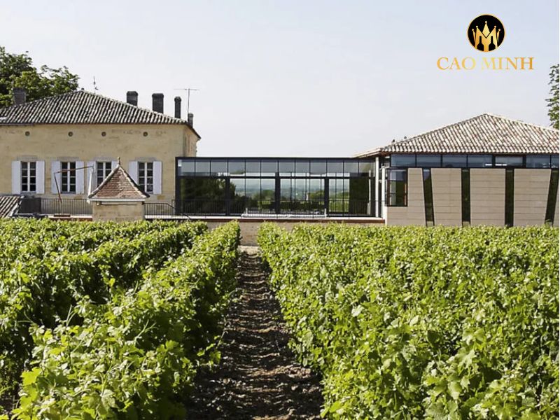 nhà sản xuất Château Villemaurine