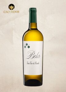 Rượu Vang Tây Ban Nha Bela Verdejo