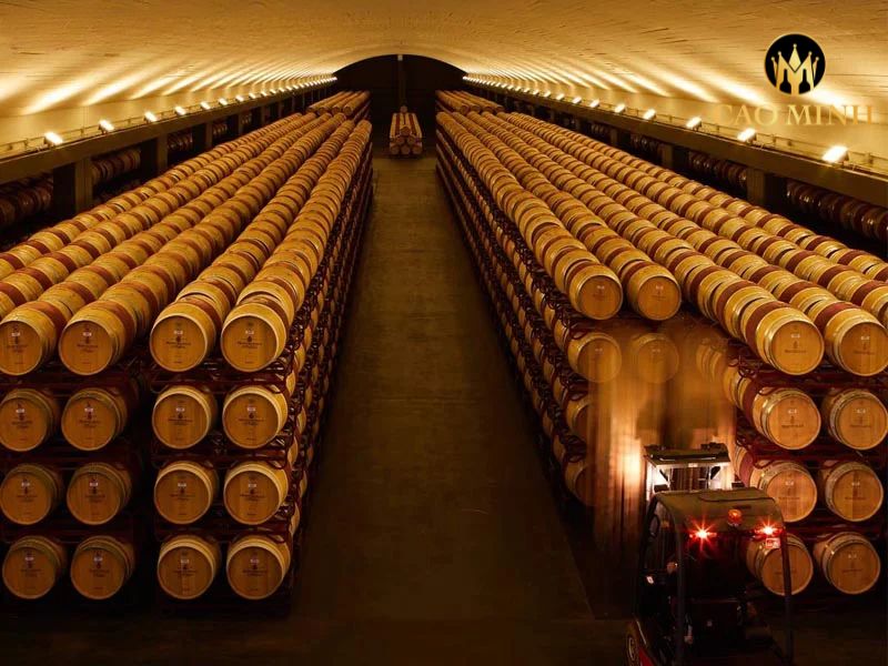 Montecillo Crianza