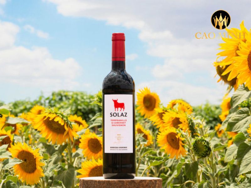 Rượu Vang Tây Ban Nha Solaz Tempranillo Cabernet Sauvignon