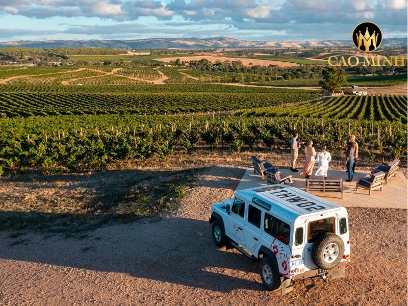 ruou-vang-australia-two-hands-gnarly-dudes-shiraz