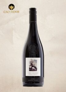 Rượu vang Australia Two Hands Gnarly Dudes Shiraz