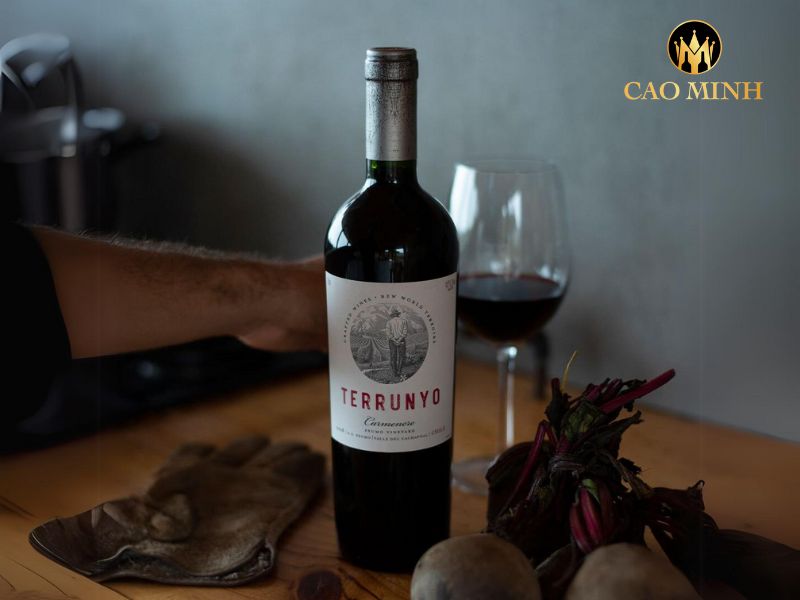 rượu vang Chile Terrunyo Carmenere