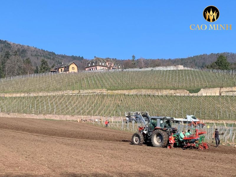 Domaine Zind-Humbrecht Gewurztraminer Roche Calcaire