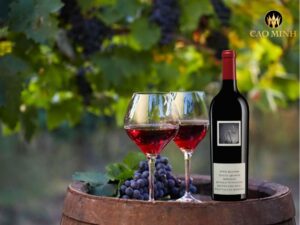 ruou-vang-australia-two-hands-yacca-block-shiraz