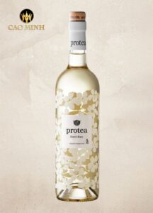 Rượu vang Nam Phi Protea Chenin Blanc