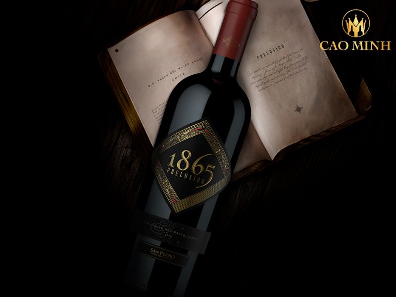 1865 Prelusion D.O Valle del Maipo Andes