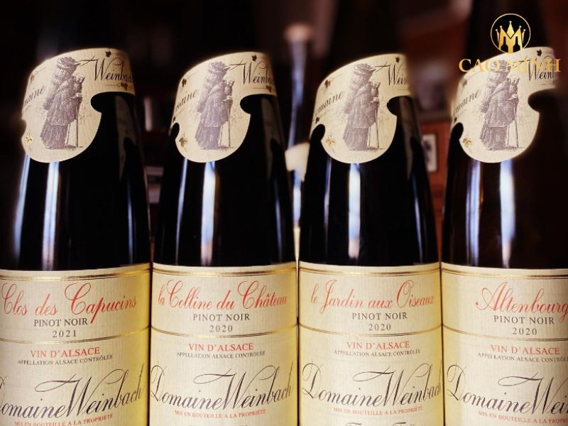 Domaine Weinbach Clos Des Capucins Pinot Noir