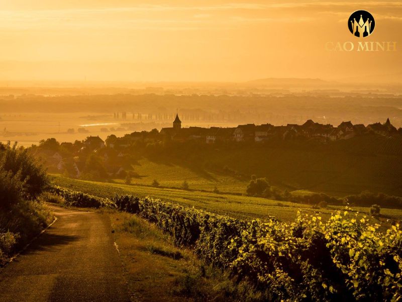 Jubilee Hugel Riesling
