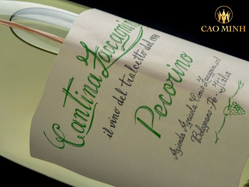 Cantina Zaccagnini Pecorino