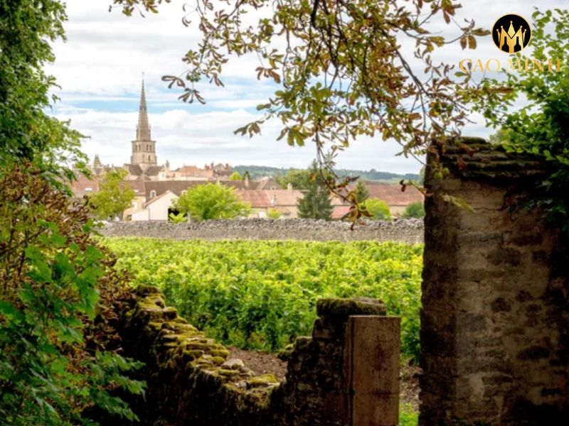 Pierre Girardin Pommard 1er cru Les Grands Epenots