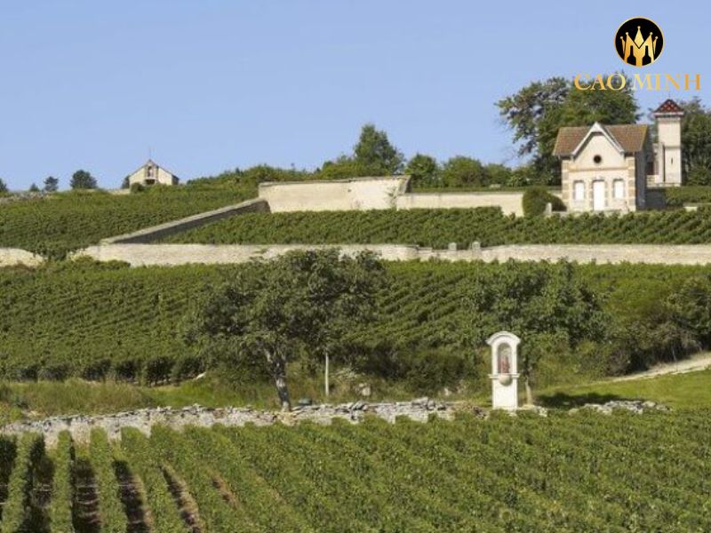 Pierre Girardin Volnay Eclat de Calcaire