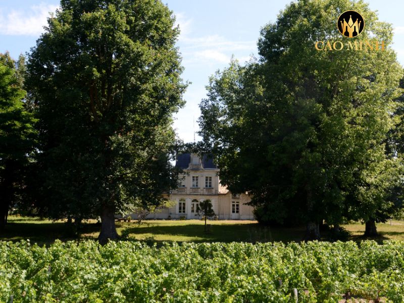 rượu vang Pháp Chateau Grand Clapeau Olivier Cru Bourgeois 2019