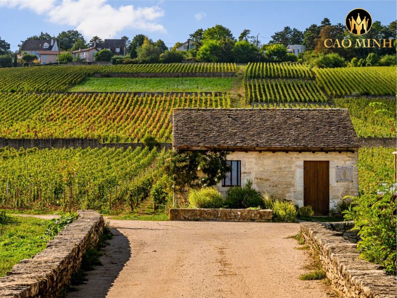 Bouchard Pere & Fils Greves Vignes de L'Enfant Jesus