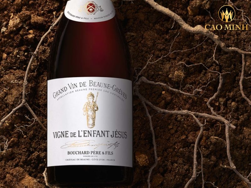 Bouchard Pere & Fils Greves Vignes de L'Enfant Jesus