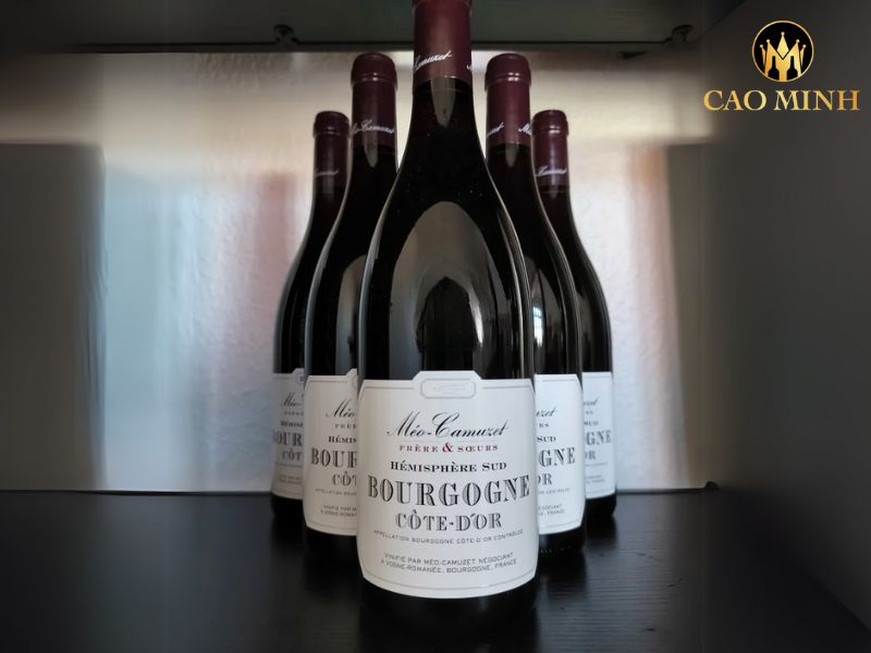 Meo-Camuzet Bourgogne Cote d'Or Hemisphere Sud