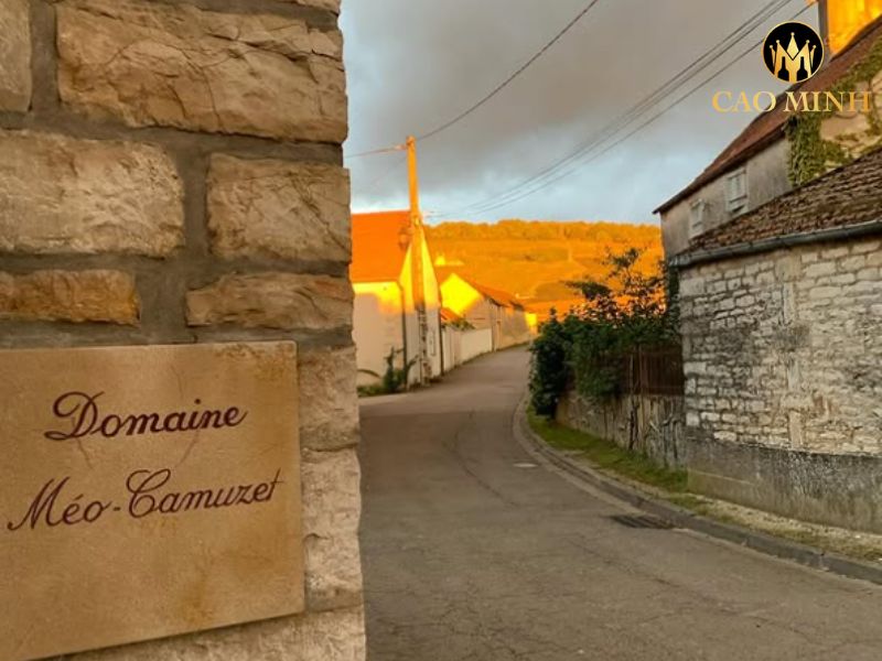 Meo-Camuzet Bourgogne Cote d'Or Hemisphere Sud