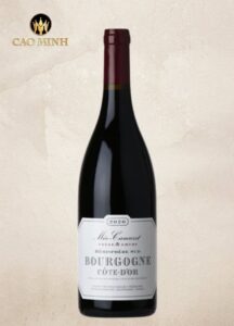 Rượu Vang Pháp Meo-Camuzet Bourgogne Cote d'Or Hemisphere Sud