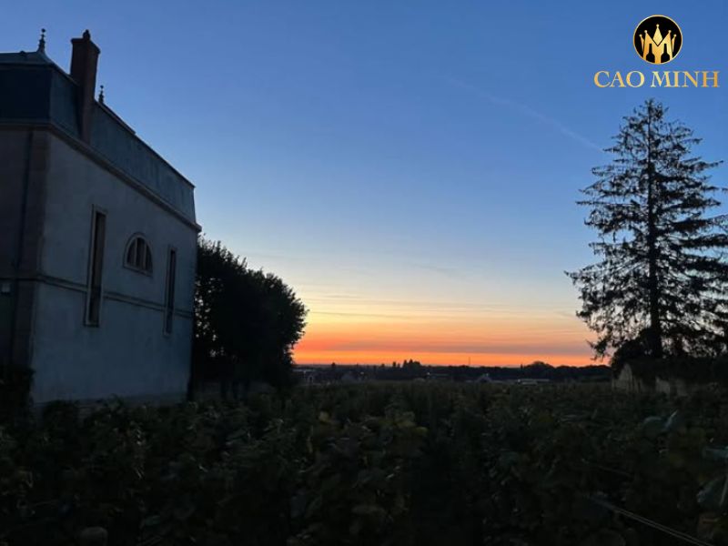 Méo-Camuzet Clos Rognet Grand Cru 