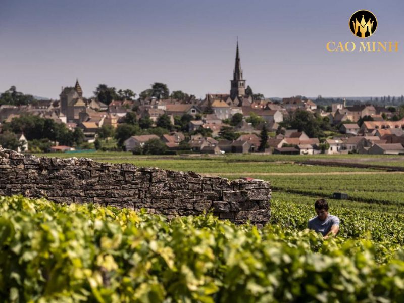 Pierre Girardin Vosne-Romanee Village La Colombiere