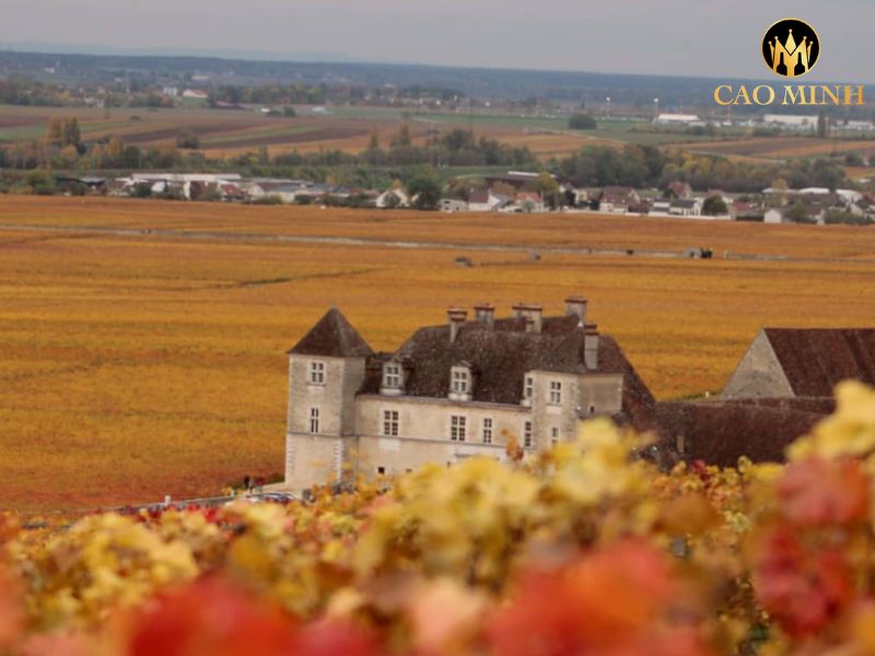 Roumier Chambolle Musigny