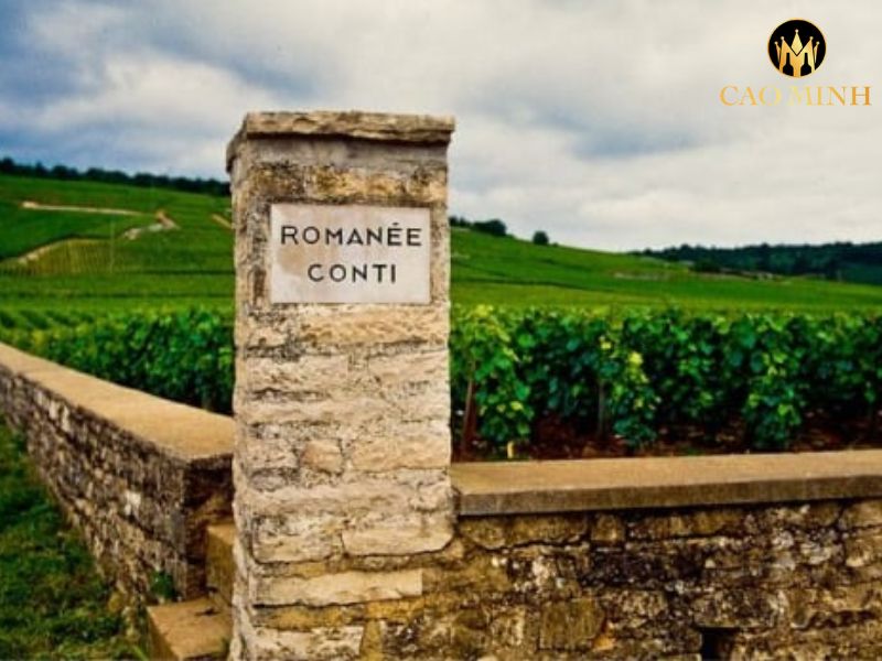 Domaine de la Romanee-Conti La Tache Grand Cru