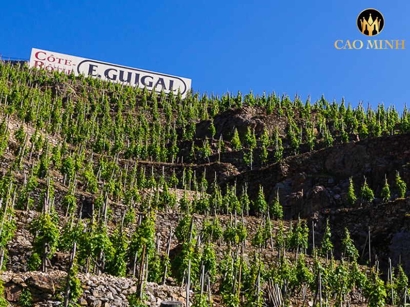 Guigal La Mouline Cote Rotie