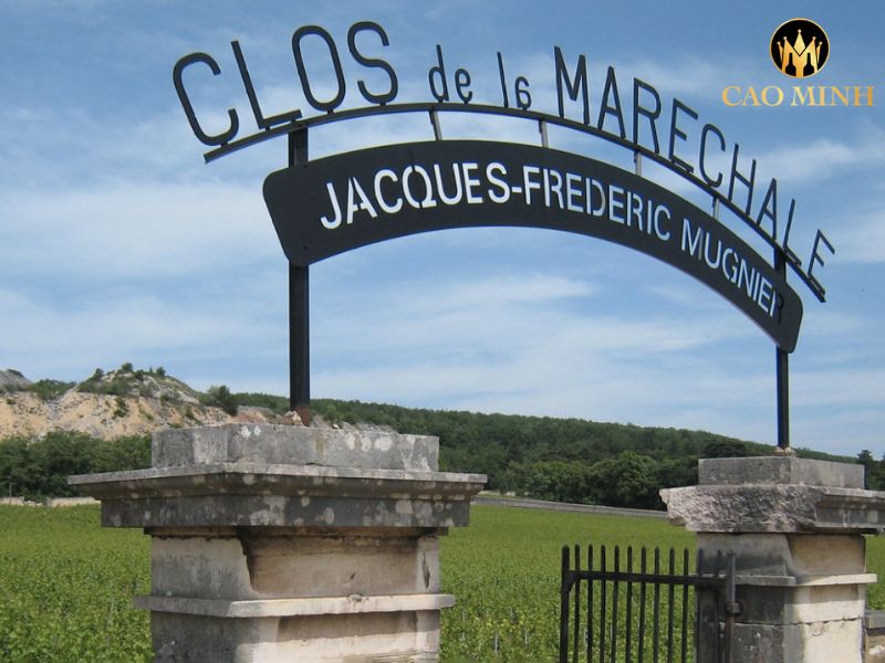 Jacques-Frederic Mugnier Musigny Grand Cru
