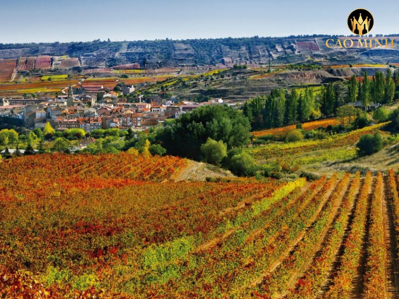 Marques de Caceres Crianza