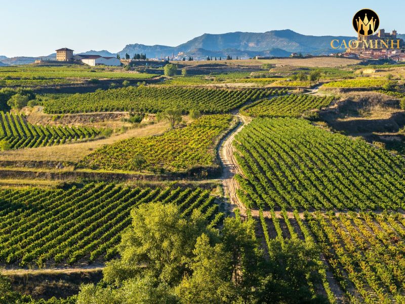 Marques de Riscal Reserva