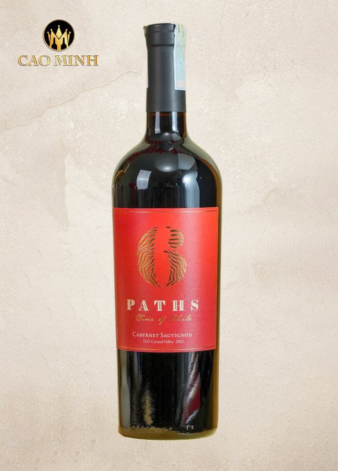 Rượu Vang Chile 6 Paths Cabernet Sauvignon