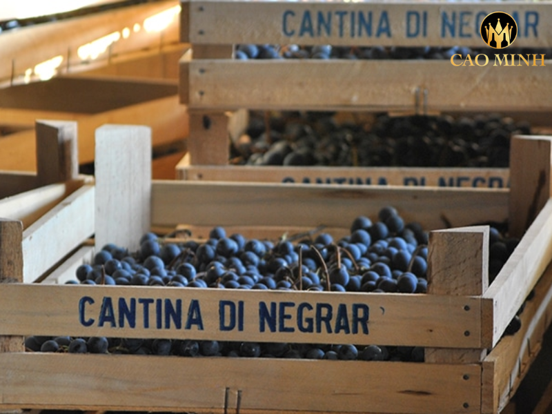 Cantina di Negrar Appassimento Rosso Veneto IGT