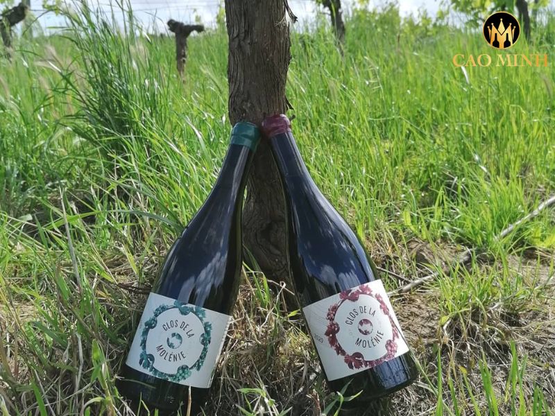 Clos de la Molénie Rouge