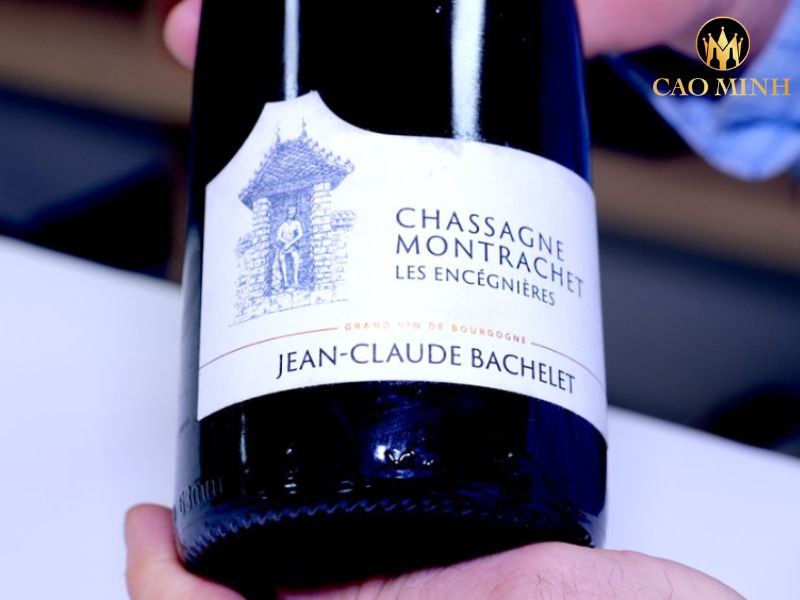 Domaine Jean-Claude Bachelet et Fils Les Encegnieres