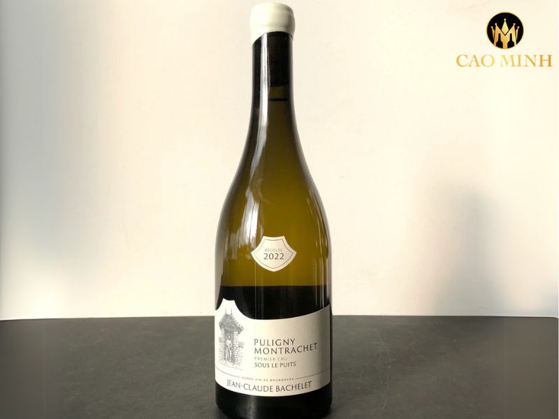 Domaine Jean-Claude Bachelet et Fils Sous le Puits