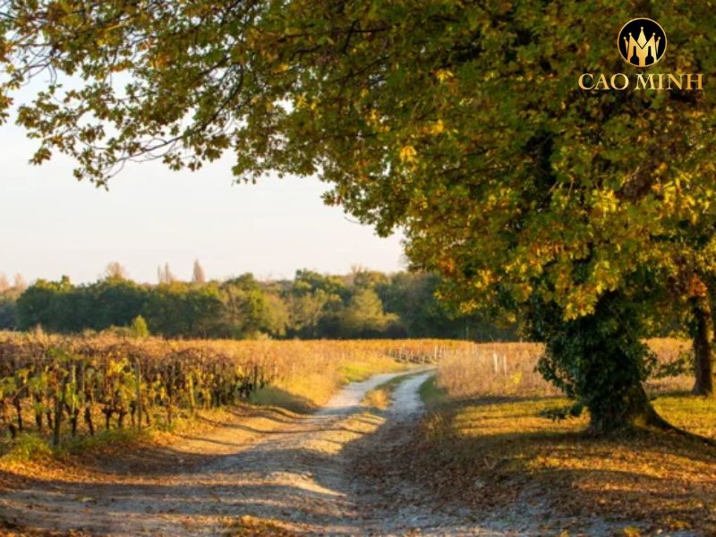 Château Dutruch Grand Poujeaux