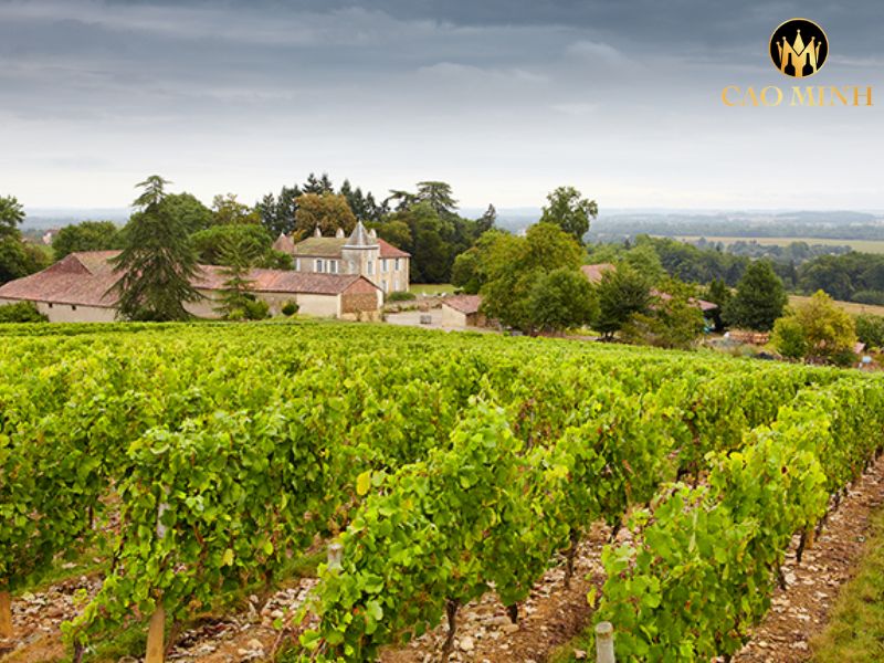 Chateau La Fleur de Gay