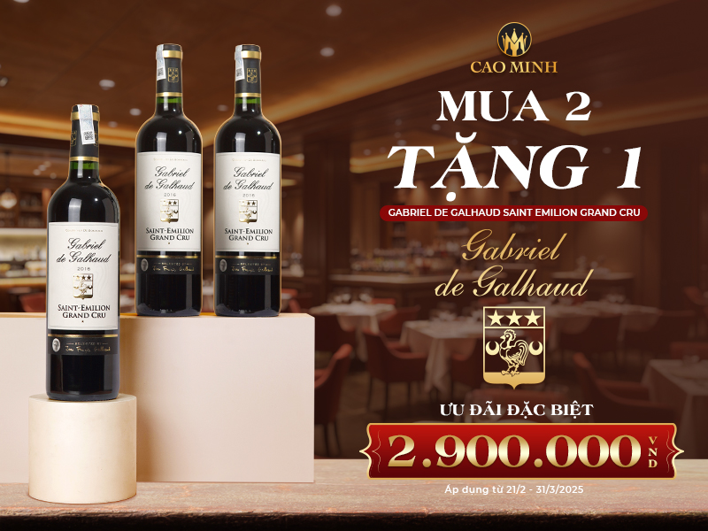 [MUA 2 TẶNG 1] Vang Pháp Cao Cấp Gabriel De Galhaud Saint Emilion
