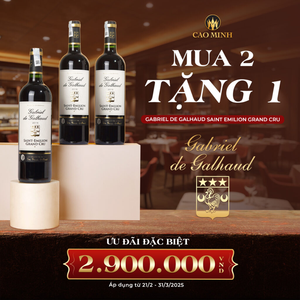 MUA 2 TẶNG 1 "Gabriel De Galhaud Saint Emilion