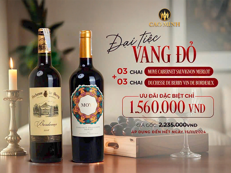 [ƯU ĐÃ VANG ĐỎ] Trải Nghiệm Combo Vang Pháp & Vang Chile Với Giá Siêu Ưu Đãi