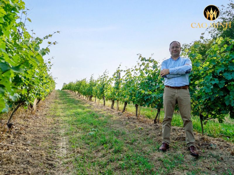Copel Wines Pauillac