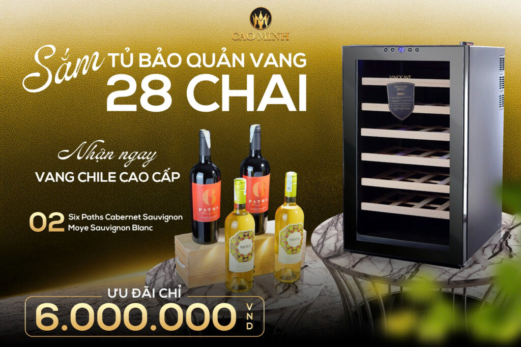 SẮM TỦ BẢO QUẢN VANG 28 CHAI - NHẬN NGAY VANG CHILE CAO CẤP
