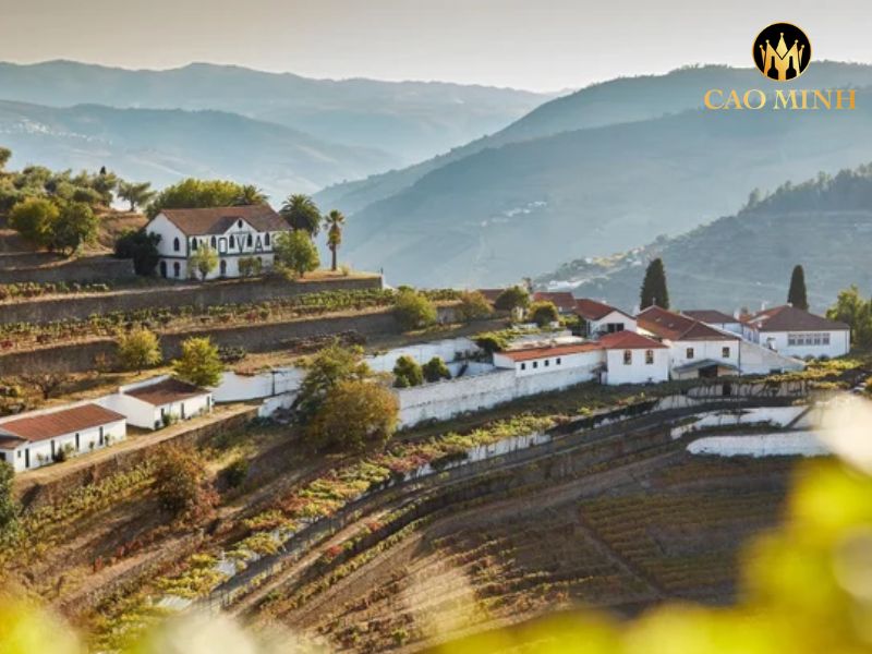 Quinta do Noval Colheita Port 