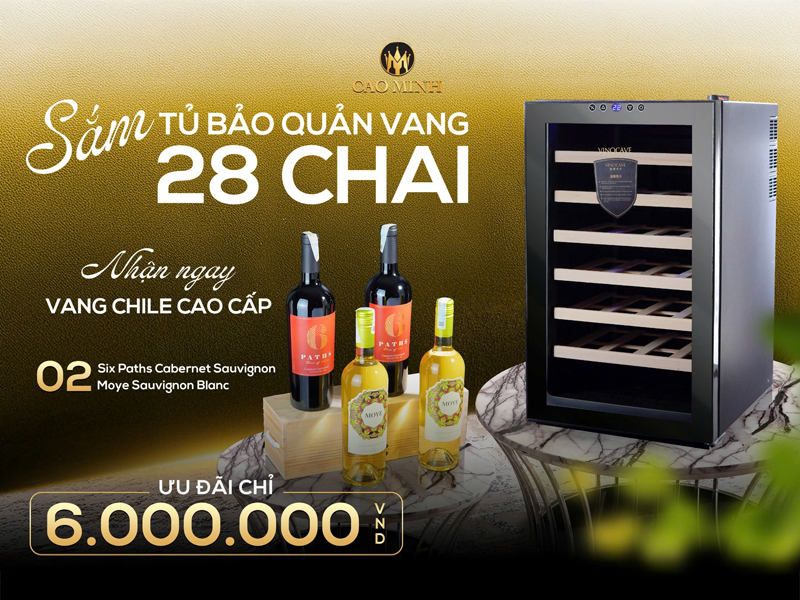 SẮM TỦ BẢO QUẢN VANG 28 CHAI - NHẬN NGAY VANG CHILE CAO CẤP