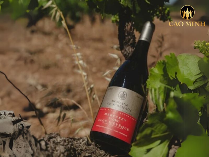 Domaine De Suremain Mercurey En Sazenay