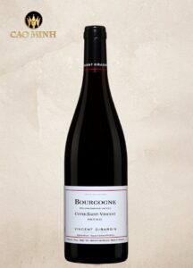 Rượu Vang Pháp Domaine Vincent Sauvestre Bourgogne Pinot Noir