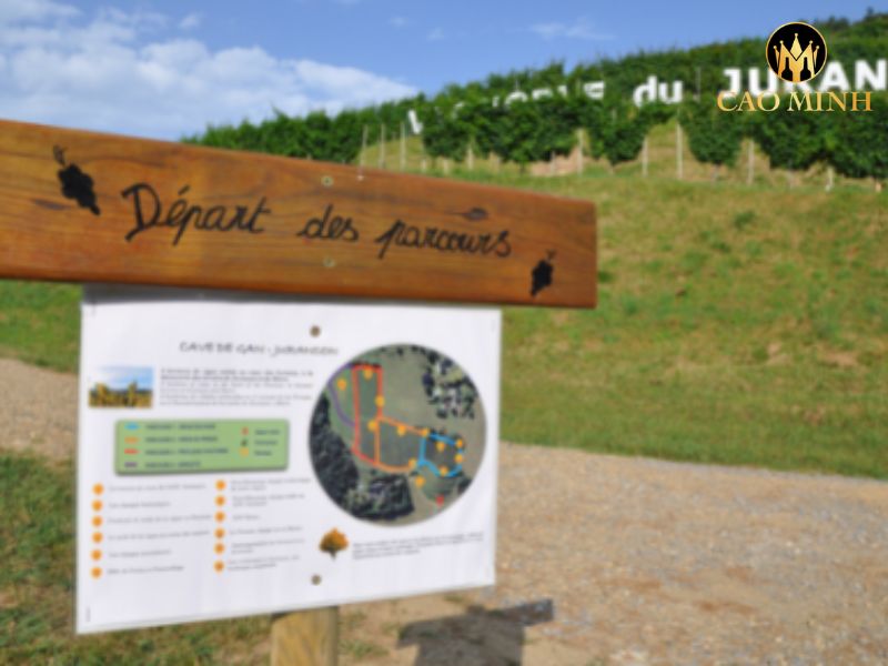 Le Vieux Caveau